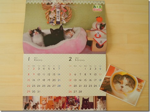 sDSCN04130001_thumb-福島のまたたび玉★猫にまたたび入荷★和ん亭カレンダー発売中