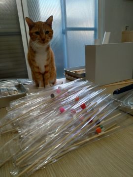 P_20200208_164127_vHDR_Auto_HP-270x360-ありがと★ぶい