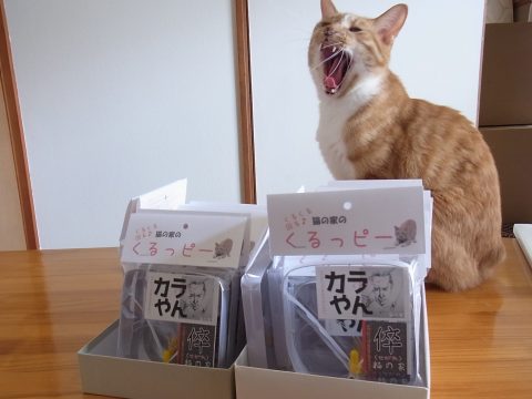 R0103909-480x360-ありがと★ぶい