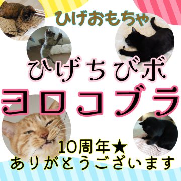 無題のPOP-2025_7_1-1_45_50-1080x1080px-360x360-ヨロコブラ１０周年★13日は光が丘★（12日～10時猫の家メルマガ）