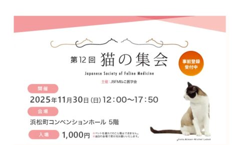 無題のPOP-2025_9_8-1_31_40-91x55mm-最高画質-480x290-10月31日~10時ごろ配信★猫の家メルマガ