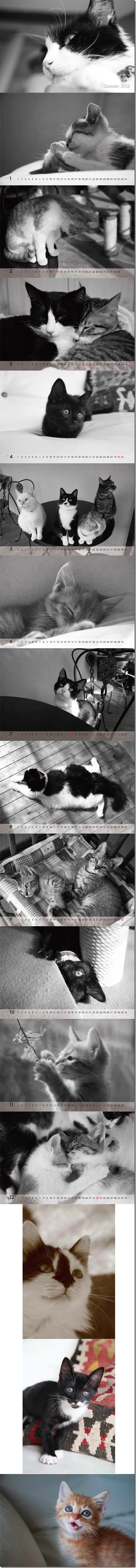 calendar2012sampleall_thumb-2012 志乃企画&times;和ん亭　カレンダーカード発売しましたっ。