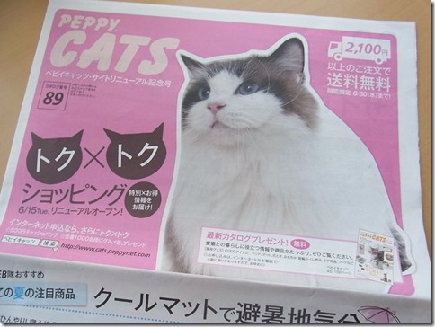 peppy2.jpg_thumb-信じられないこと。